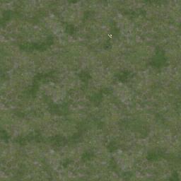 Map tile of Nibelheim