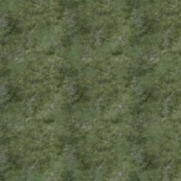 Map tile of Isle of Pearls