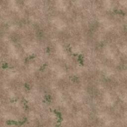 Map tile of Simp
