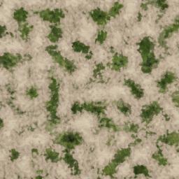 Map tile of Wild Child