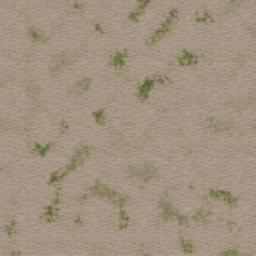 Map tile of Paracelsor