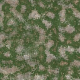 Map tile of Wild Orchid
