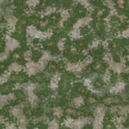 Map tile of Puddlejump Meadow