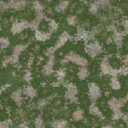 Map tile of Bubblewood