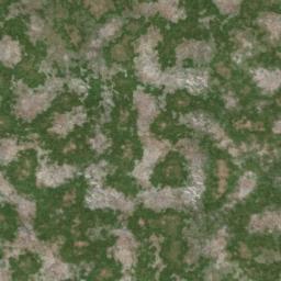 Map tile of Ever Wild