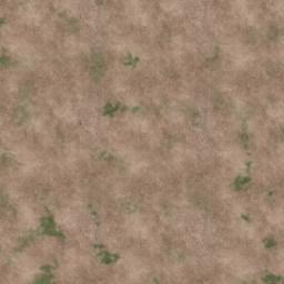 Map tile of Starlight Cove