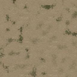 Map tile of Phantom Woods