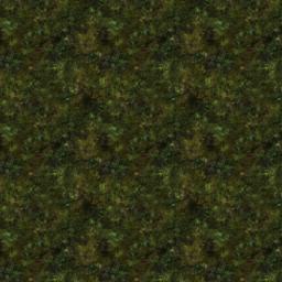 Map tile of Dragonborn Isle