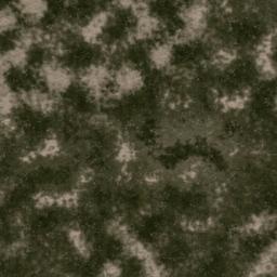 Map tile of Black Wraith